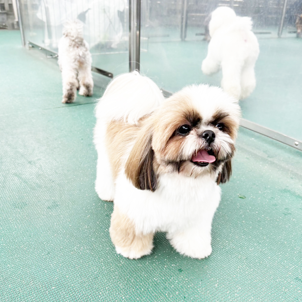 Ｗａｎ活で生徒が撮影した写真♪③